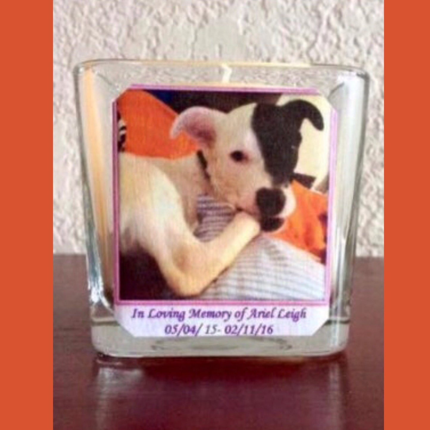 Pet Photo Candle, Memorial Candle, Sympathy Candle, Personalized Candle, Pet Lover, Heartfelt, Meaningful and Thoughtful Gift and Keepsake.