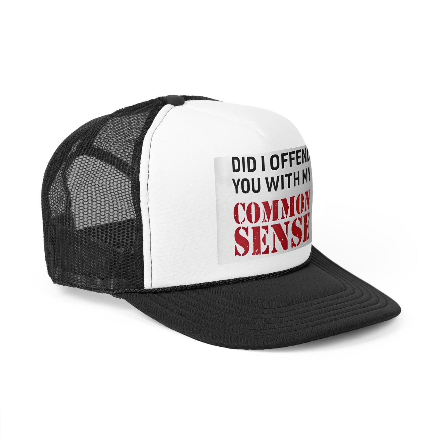 Did I Offend You With My Common Sense Cap. Gift for her. Gift for him.